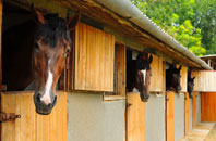 free Hound Green stable construction quotes